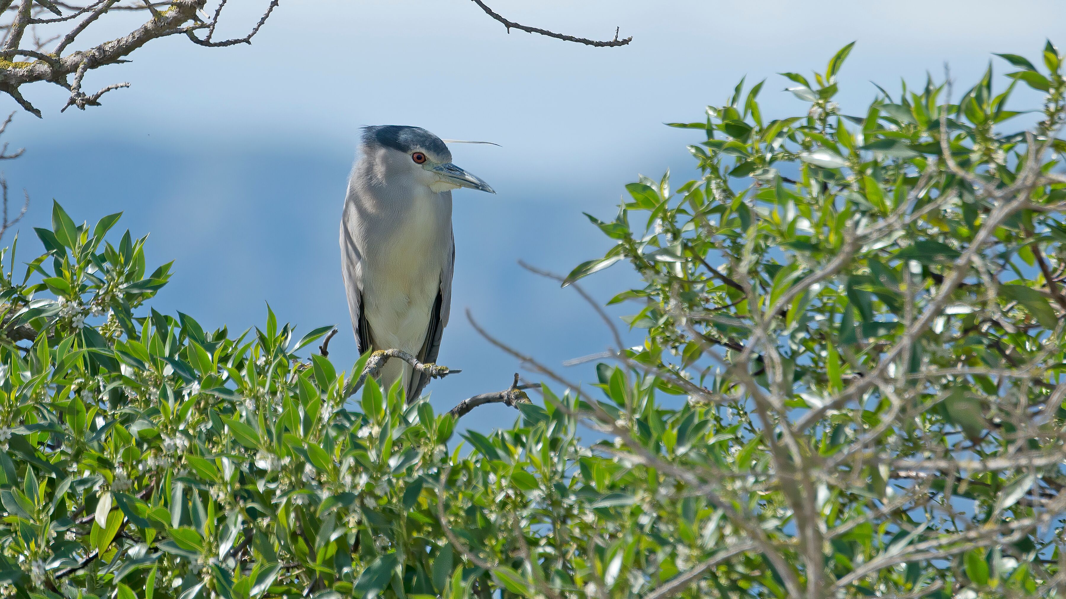  德尔三角洲德欧莱雅埃布雷自然公园
