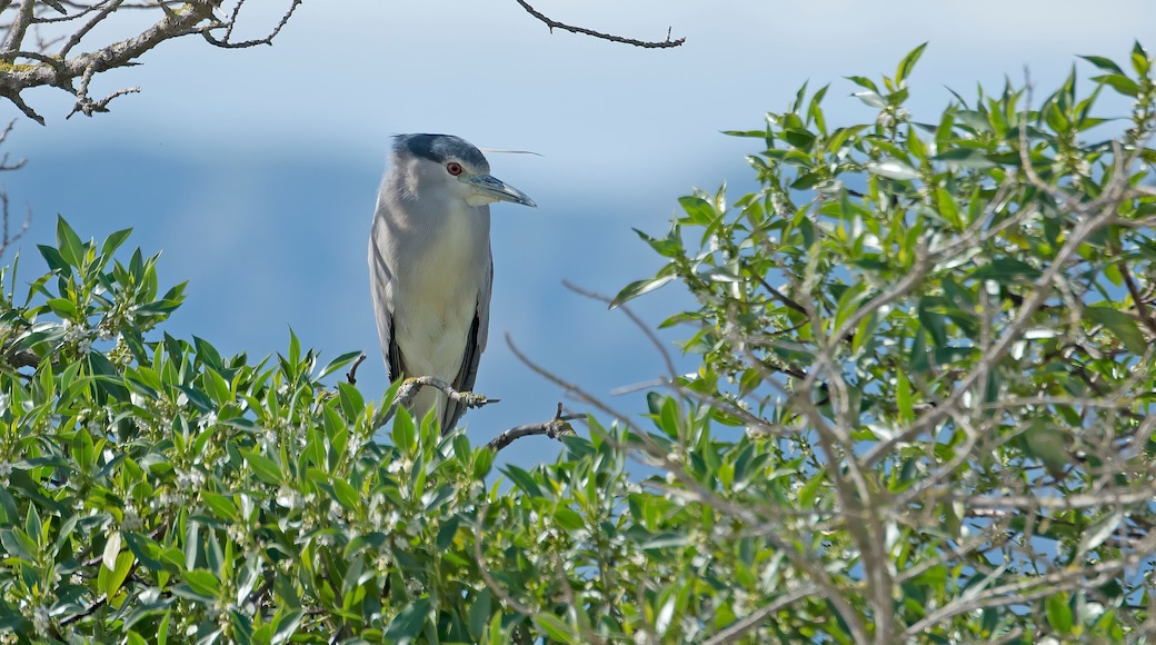 Parque natural del Delta del Ebro