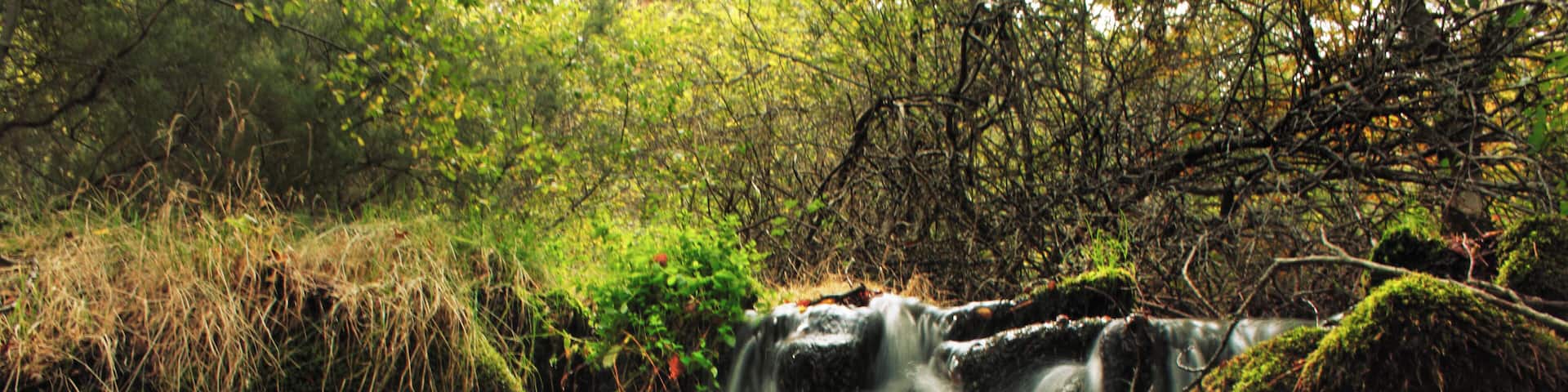 Dehesa del Moncayo, España