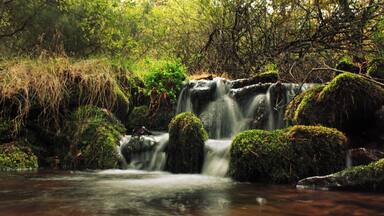 Dehesa del Moncayo, España