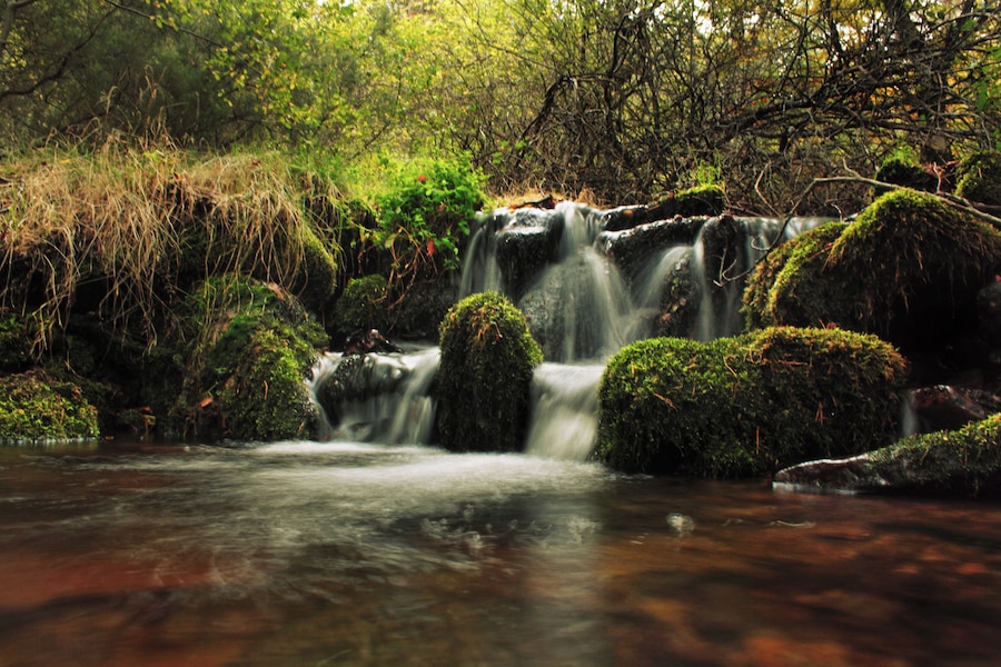A waterfall surrounded by moss-covered rocks and lush greenery.