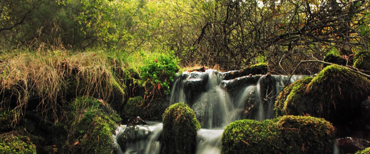 A waterfall surrounded by moss-covered rocks and lush greenery.