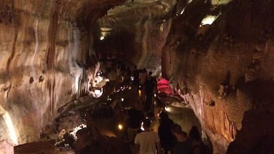 A Gruta dos Moinhos Velhos (juntamente com a Gruta da Pena e a Gruta da Contenda), faz parte de uma grande rede de galerias com mais de 11 Km de extensão, constituindo dos mais importantes sistemas subterrâneos do Maciço Calcário Estremenho. Caracteriza-se pela existência de dois coletores paragenéticos fósseis, de diâmetro aproximadamente decamétrico, com afluentes desenhando uma rede dendrítica e um conjunto de galerias semi-ativas de traçado dendrítico a norte e angulado a sul. A zona fóssil tem um desnível de 100 metros e a espessura da zona intermédia varia entre 80 metros a montante e 60 metros a jusante, circulando a água por galerias singenéticas, do quadrante norte para o quadrante sul, em direção à exsurgência da Gruta da Pena.
Podem definir-se quatro fases na evolução do sistema. A primeira é representada por galerias freáticas superficiais, de pequeno diâmetro, a segunda pelo coletor paragenético da Galeria Gémea, a terceira pela Galeria Grande e seus afluentes e a última pelas galerias ativas e semi-ativas dos andares inferiores.