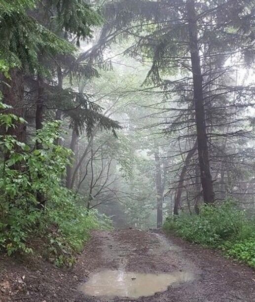 Misty ATV trails after a thunderstorm in Patton, PA #Adventure