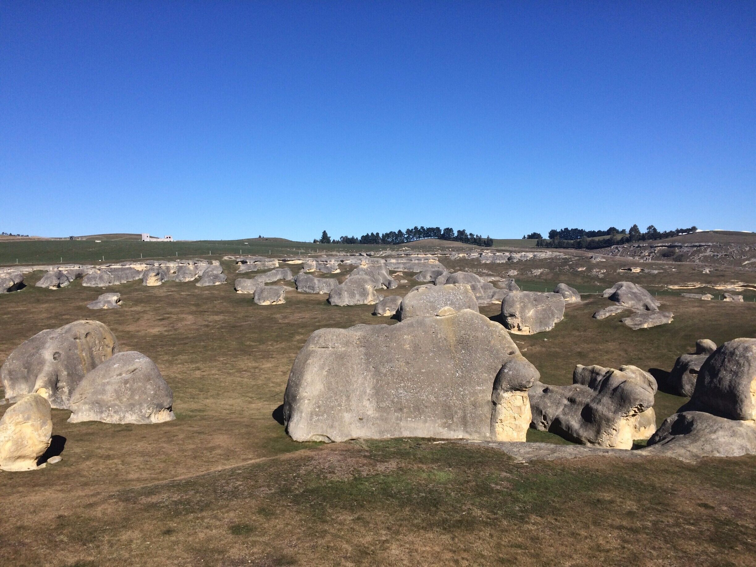 The Elephant Rocks - North Otago, New Zealand - collection of large weathered limestone rocks.