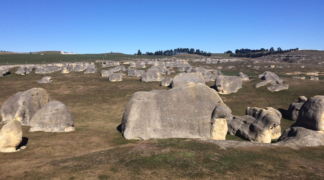 The Elephant Rocks - North Otago, New Zealand - collection of large weathered limestone rocks.