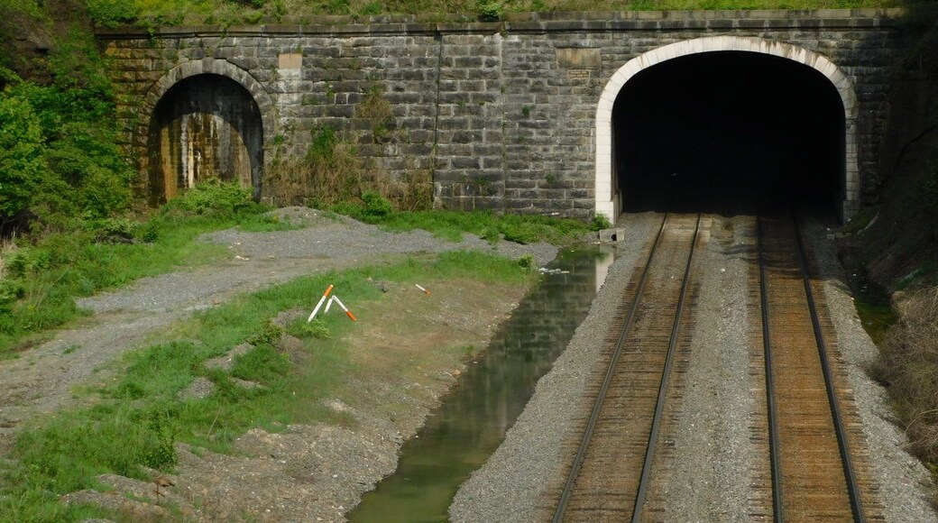 The Gallitzin Tunnels