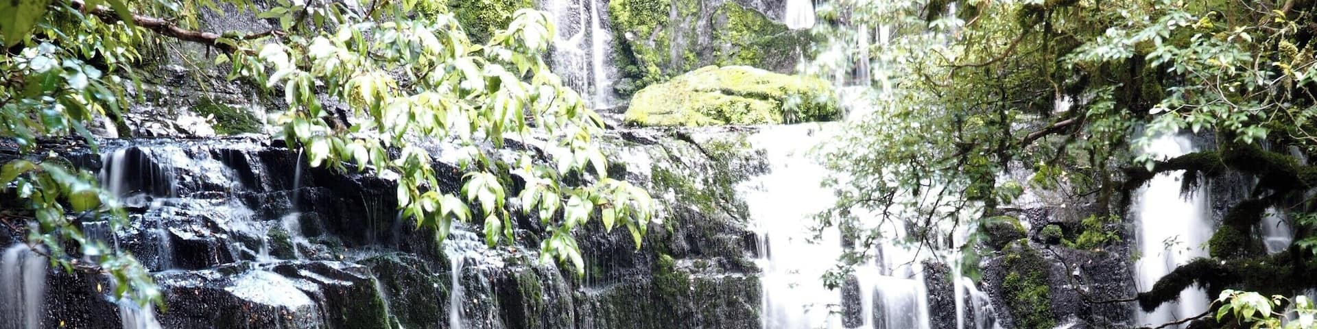 One of many walks within The Catlins in New Zealand's South Island, Purakaunui Falls is an easy 10 minute walk from the highway car park through pretty moss-covered rainforest.