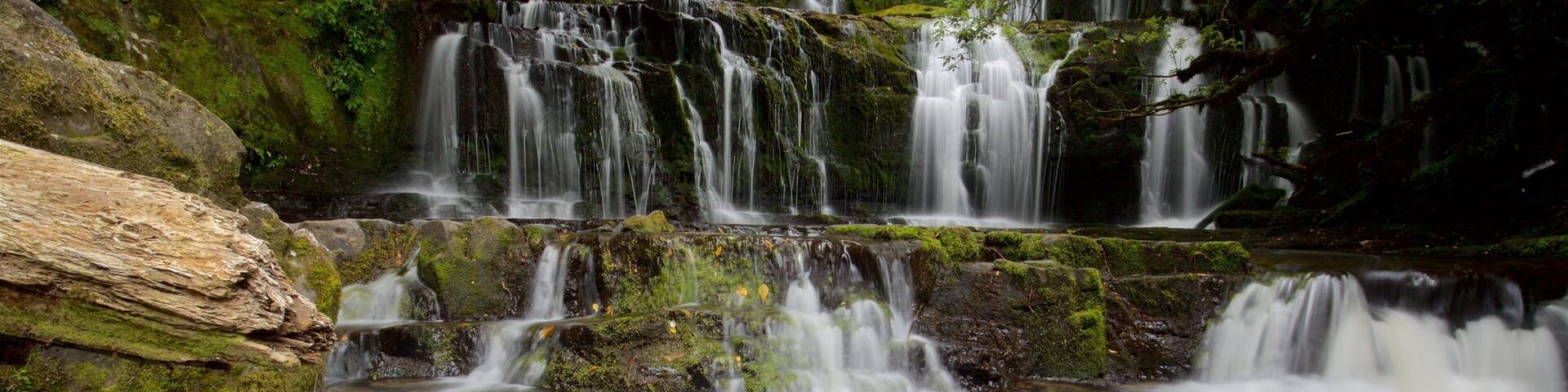 Purakaunui which includes a waterfall and a river or creek