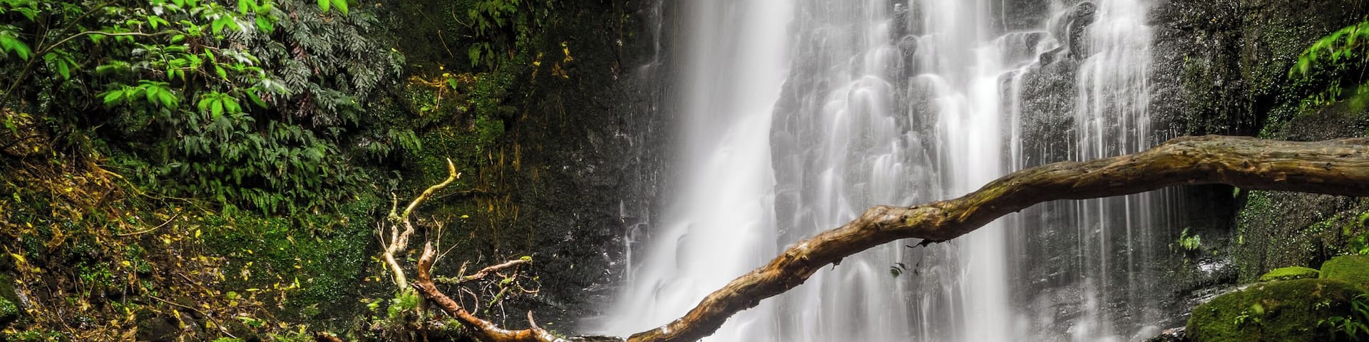 This beautiful waterfall is found in the Catlins and is an easy walk to get to. When you reach a fork in the path, take the one that goes down to get to this waterfall. Alternatively, if you would like to see another waterfall above this one, check my profile out to see the Horseshoe Falls!