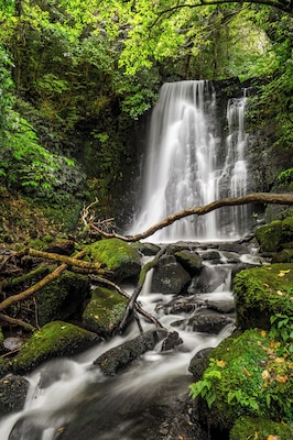 This beautiful waterfall is found in the Catlins and is an easy walk to get to. When you reach a fork in the path, take the one that goes down to get to this waterfall. Alternatively, if you would like to see another waterfall above this one, check my profile out to see the Horseshoe Falls!