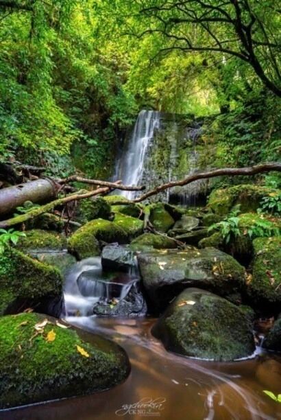 Matai Waterfalls II Southland New Zealand 
Walk to the Matai Falls the waterfall small and pretty, but not spectacular.