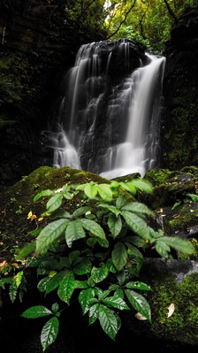 Only a short walk from the side of the road in the Catlins, you can easily visit both the Matai Falls and the Horseshoe Falls (in image). To get to the Horseshoe Falls, simply take the path that goes up steeply instead of the one that goes down. It's definitely worth it!