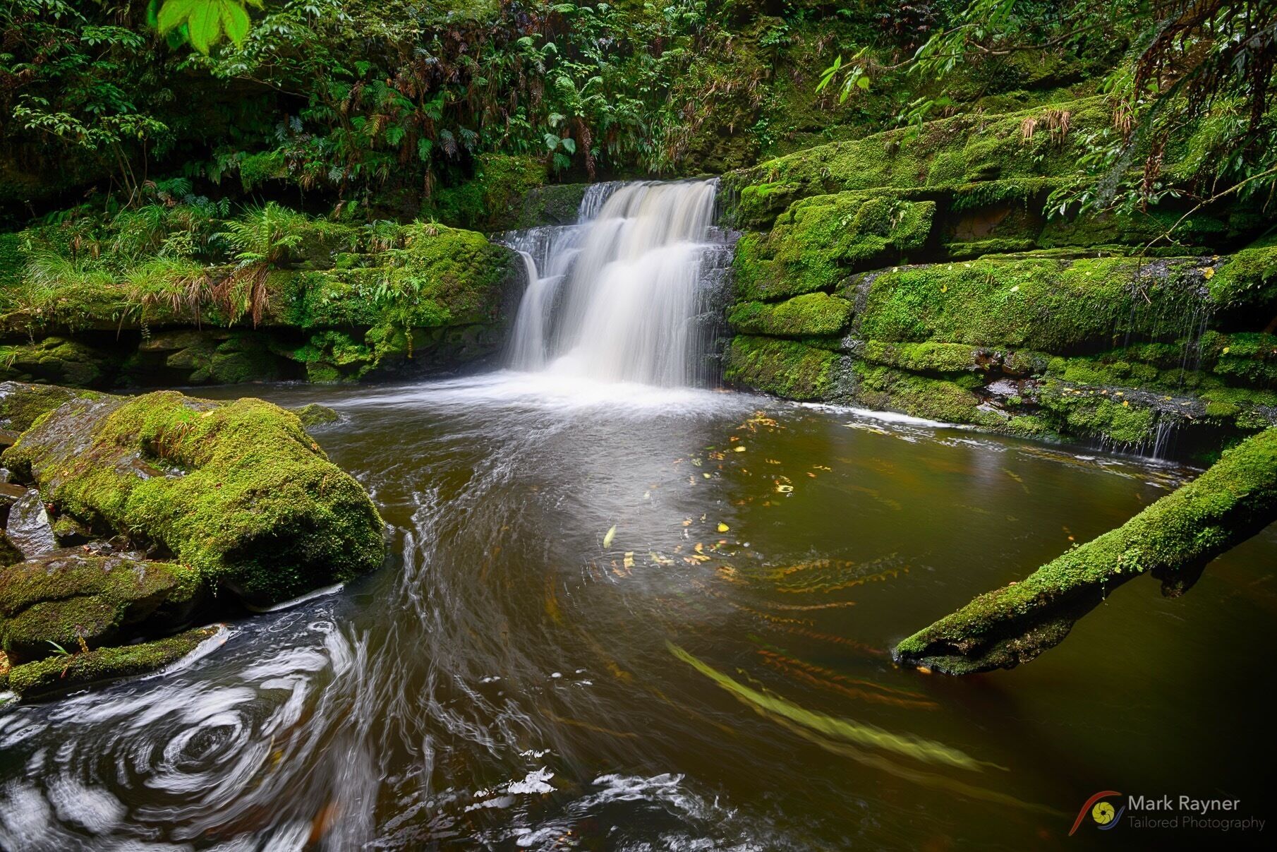 McLeans Falls (lower) is always worth the walk when exploring the Catlins in New Zealand’s South Island. #waterfall #rainforest