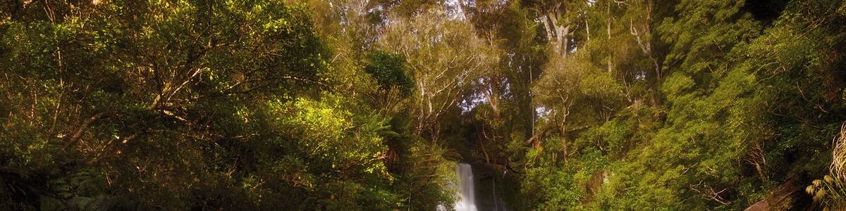 This is McLean Falls and it's located in the Catlins, one of the most beautiful areas in New Zealand. Mclean Falls is the tallest and perhaps the most spectacular waterfall in this region and officially reaches 22 metres in height, but this just refers to the main drop of the falls from the very top to where it meets its first water pool, it then descends for many more metres over a series of terraces. #green