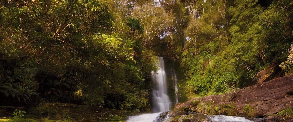 This is McLean Falls and it's located in the Catlins, one of the most beautiful areas in New Zealand. Mclean Falls is the tallest and perhaps the most spectacular waterfall in this region and officially reaches 22 metres in height, but this just refers to the main drop of the falls from the very top to where it meets its first water pool, it then descends for many more metres over a series of terraces. #green