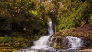 Une cascade à plusieurs niveaux, entourée d’une végétation luxuriante.