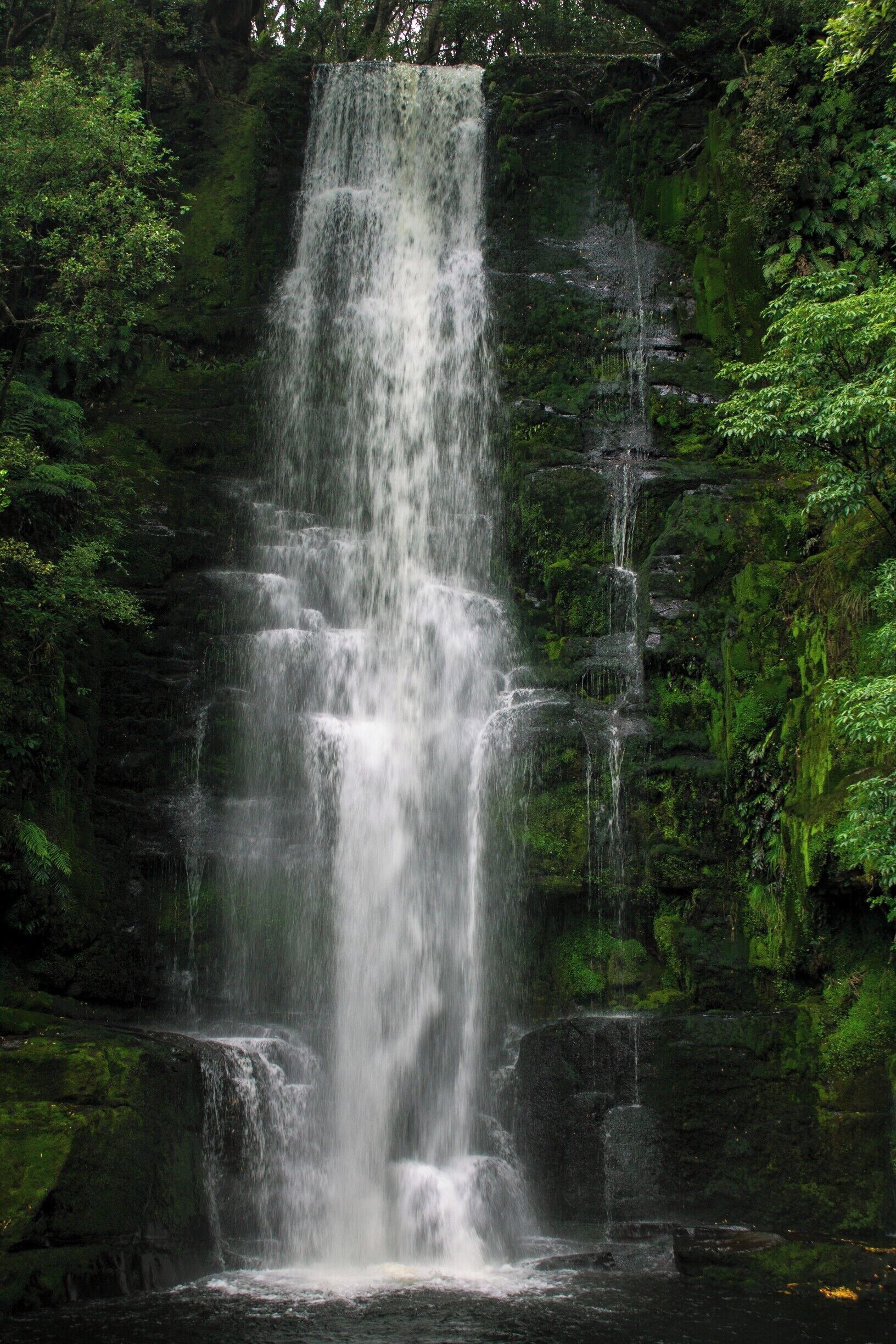 Beautiful forest walk (30-40min return) resulted in this magnificent view. The best waterfall in the Catlin's National Park in my opinion and a must-do if you're in the area! 
