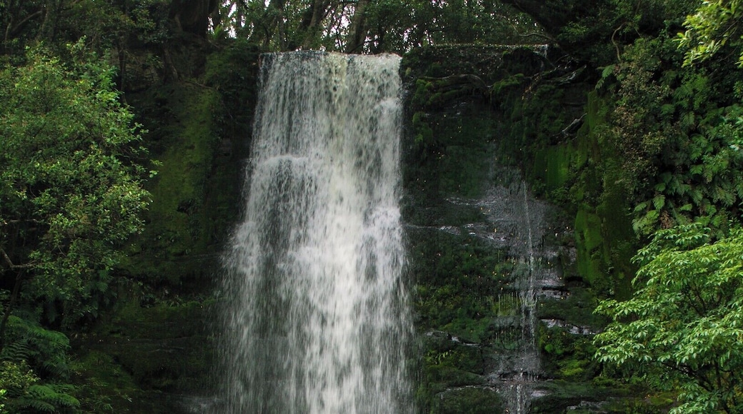 Beautiful forest walk (30-40min return) resulted in this magnificent view. The best waterfall in the Catlin's National Park in my opinion and a must-do if you're in the area!