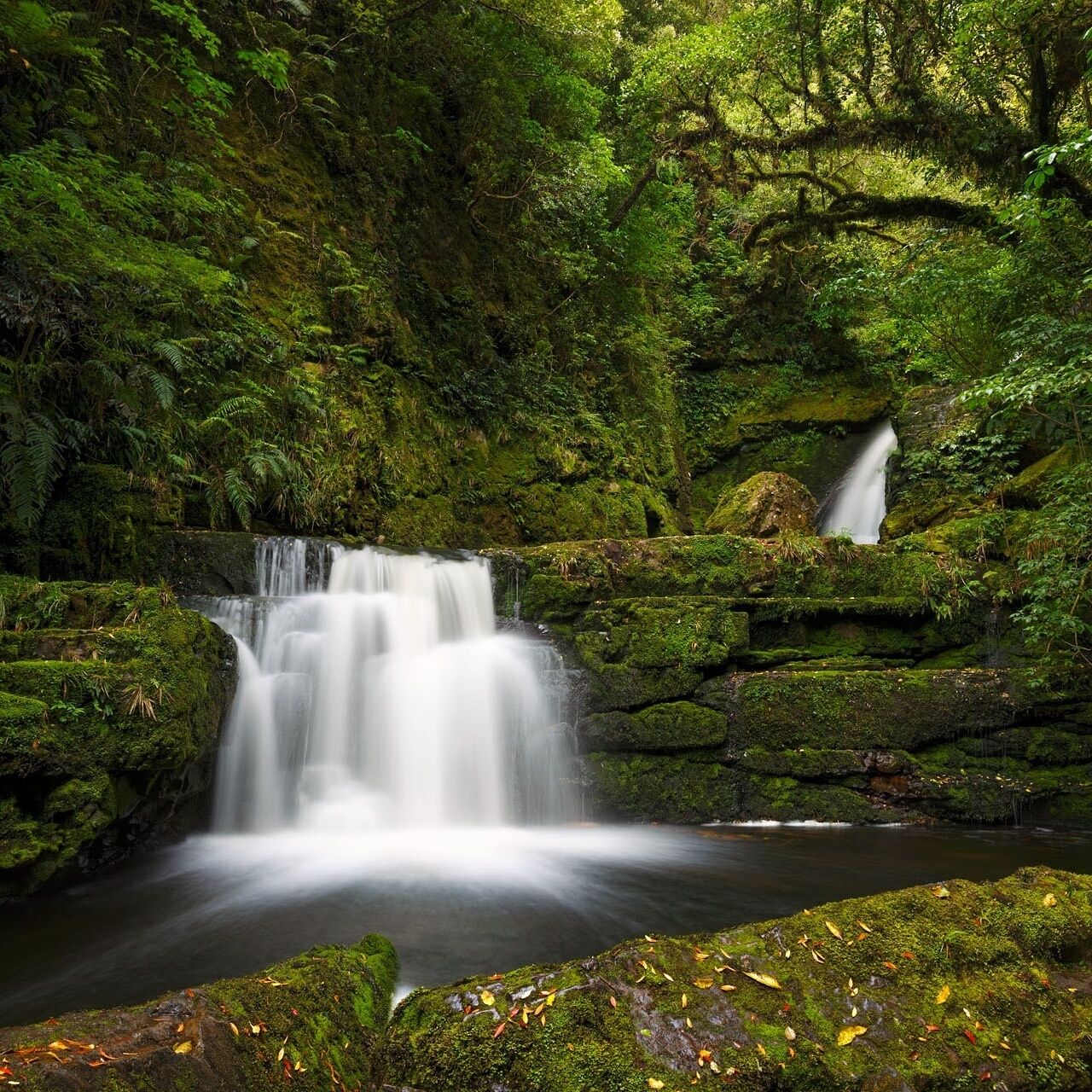 A waterfall cascading over moss-covered rocks in a dense forest.