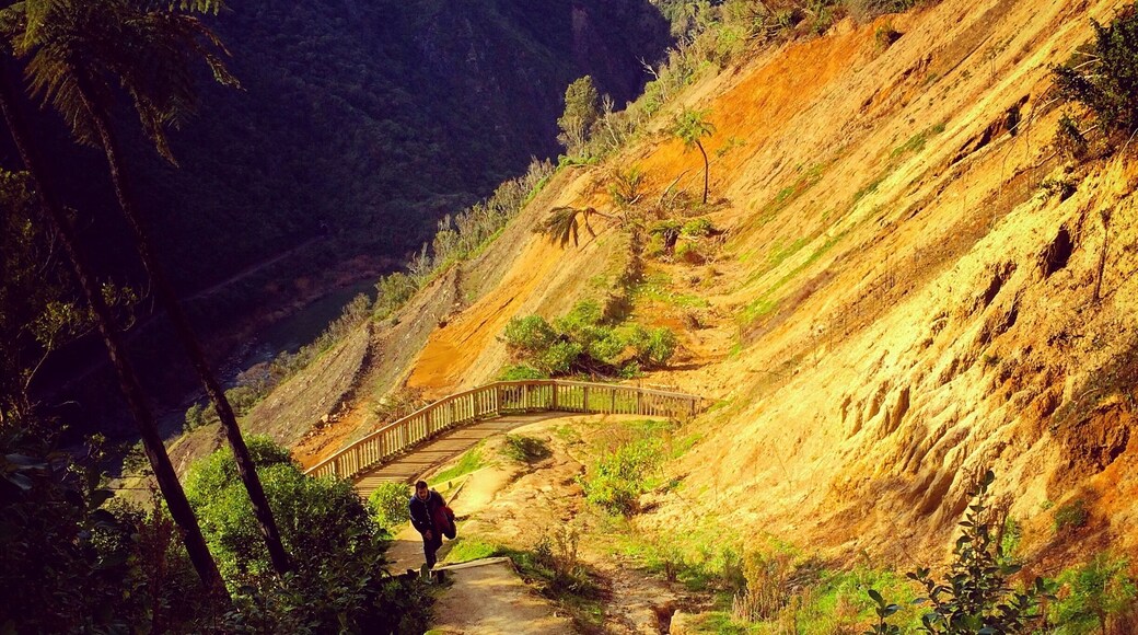 On the way to Wellington we stoped for a while and walked through the Manawatu Gorge Track. Beutiful view from the top!
#weekendgetaway #TakeAHike