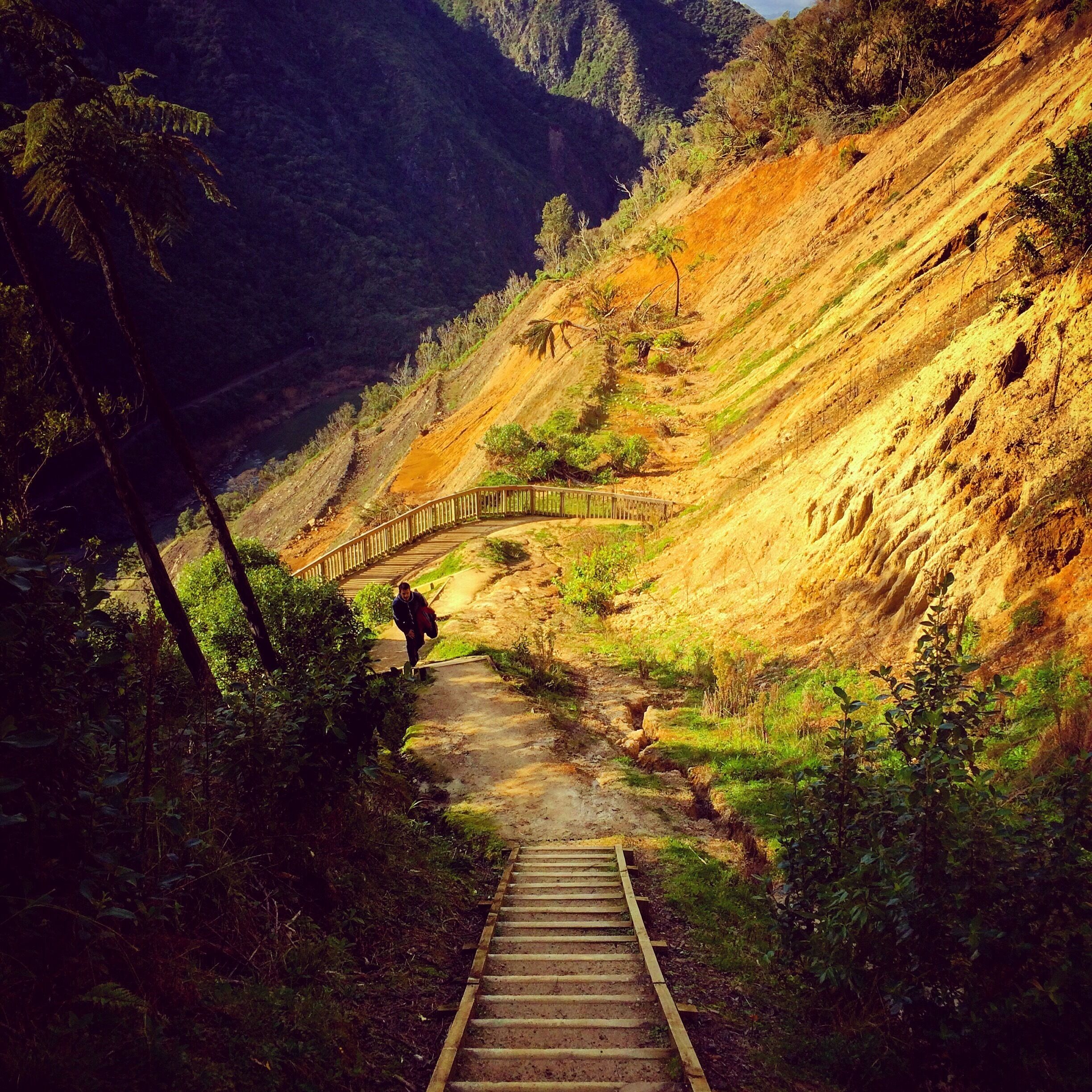 A wooden pathway leading up a hillside with a bridge over a stream.