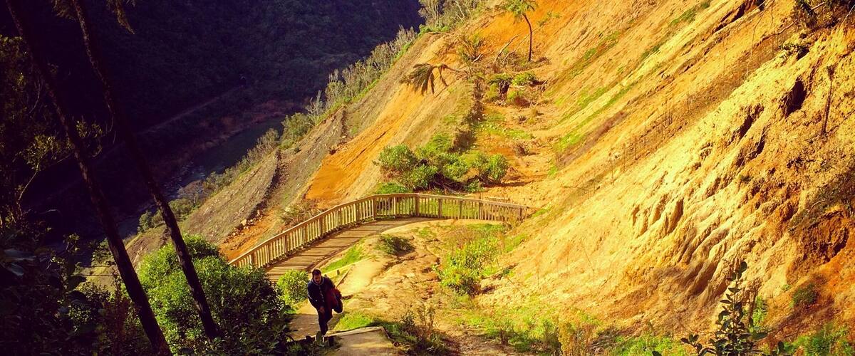 A wooden pathway leading up a hillside with a bridge over a stream.