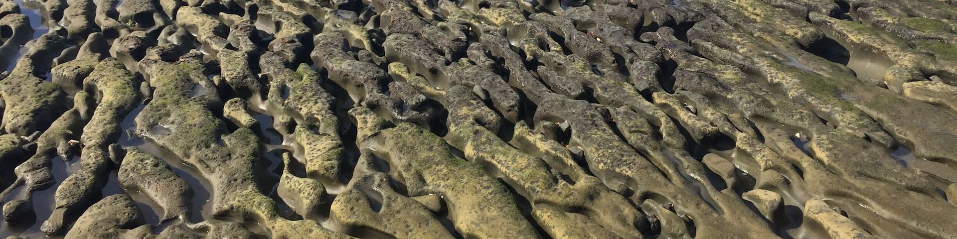 On the right you will find this incredible ripple sculptures