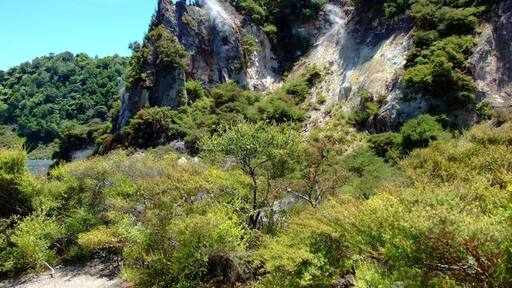Waimangu's steaming landscape