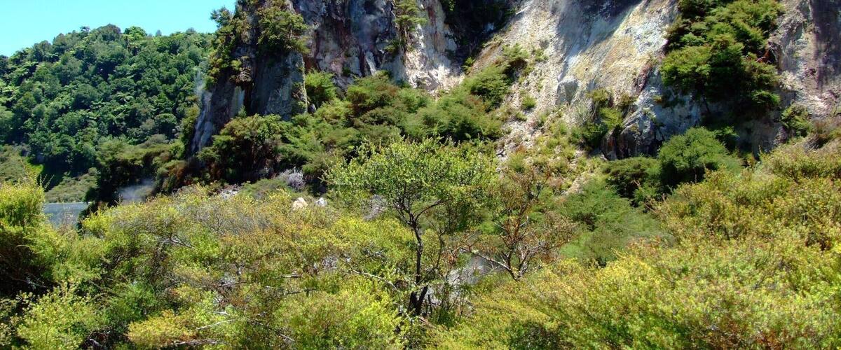 A mountainous landscape with a prominent rocky cliff and dense green vegetation.