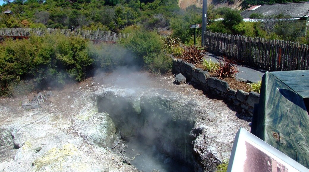 Waimangu Volcanic Valley is home to wonderful plant and bird life, thermal hot springs, steaming cliffs, volcanic craters and many more geothermal features.
We are just 20 minutes South of Rotorua and 40 minutes North of Taupo.