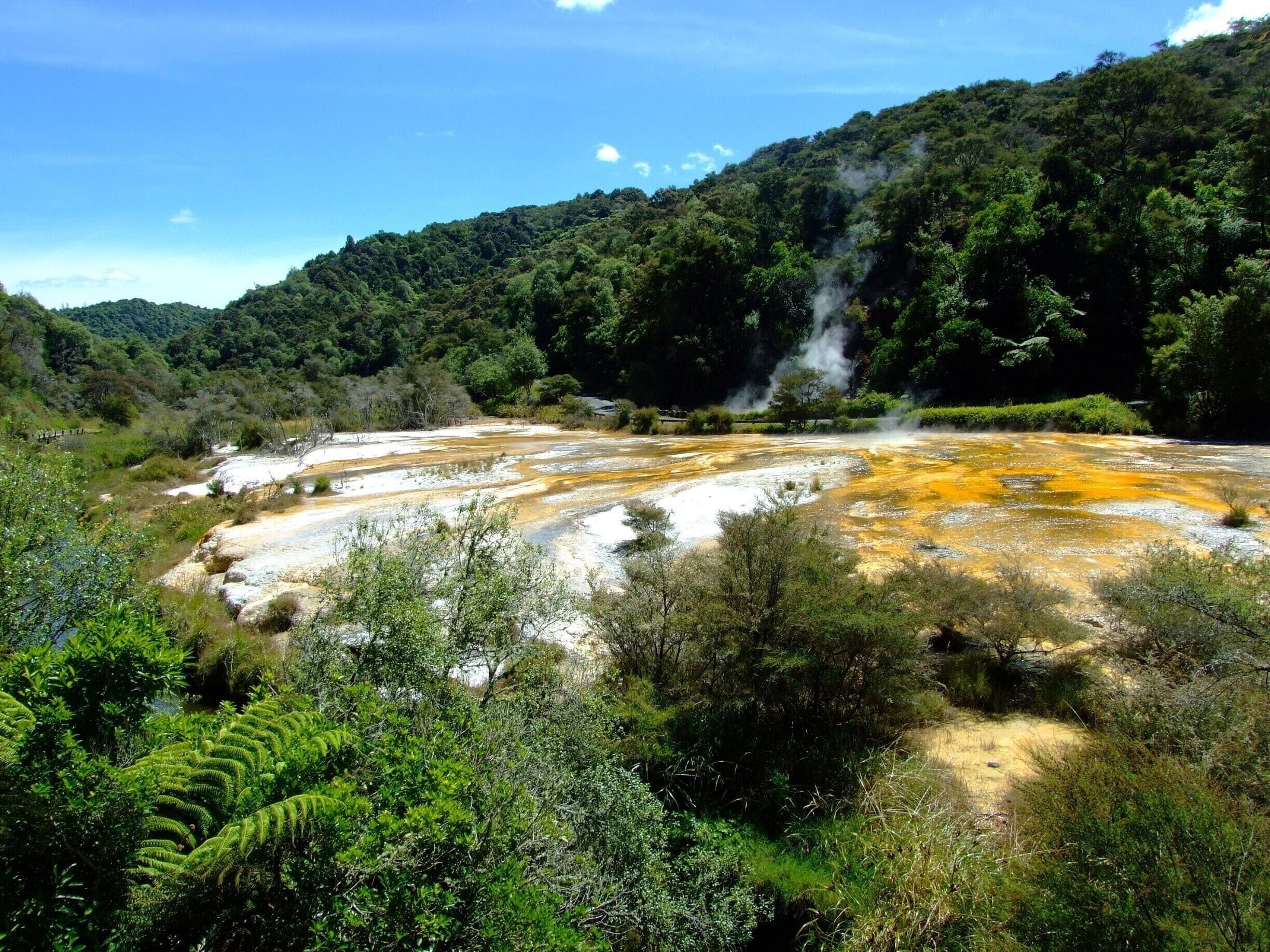At Waimangu there is something for everyone to enjoy.
#NationalPark