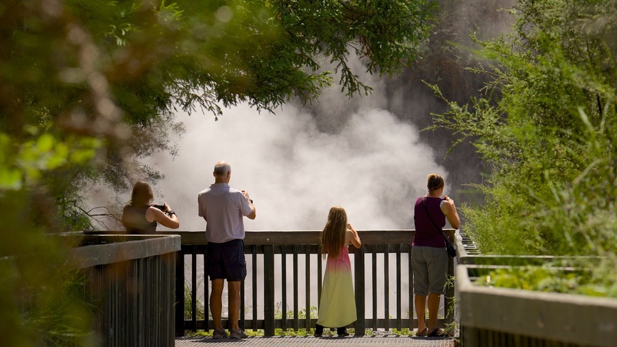 Rotorua que inclui cenas de floresta assim como um pequeno grupo de pessoas