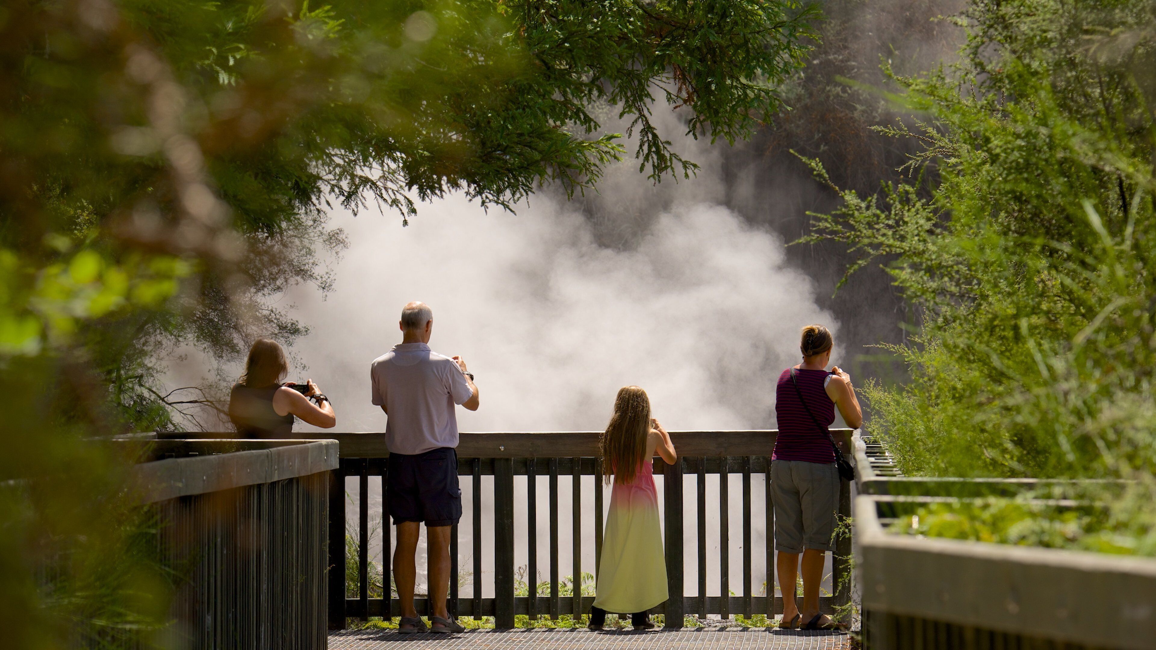 A group of people standing on a wooden deck overlooking a misty waterfall.