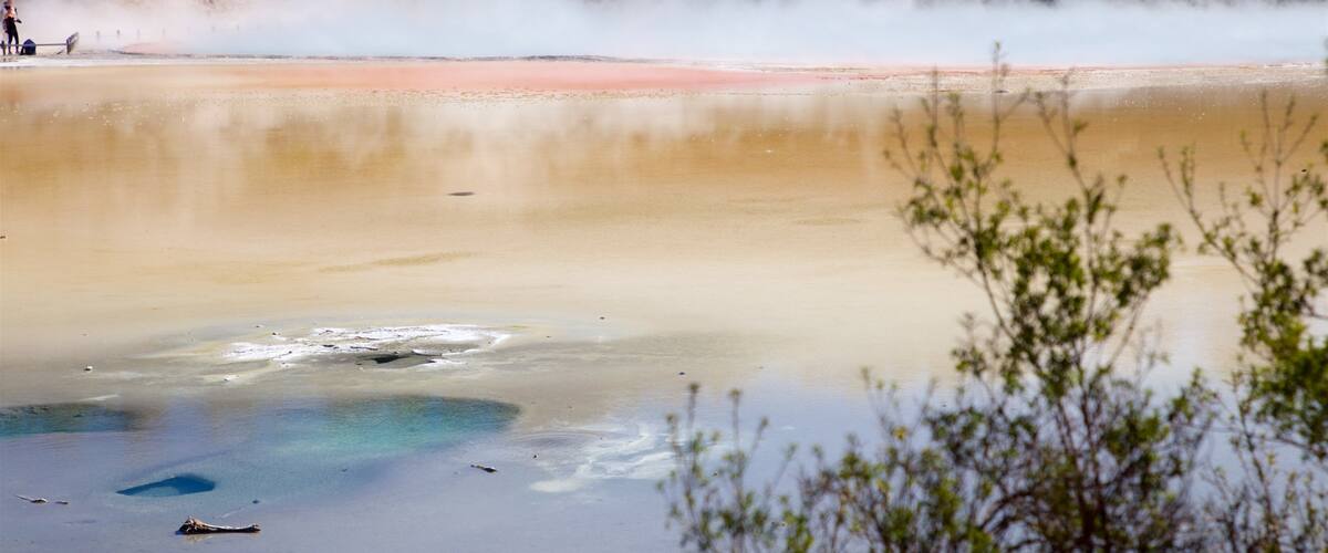 Waiotapu showing a hot spring and mist or fog