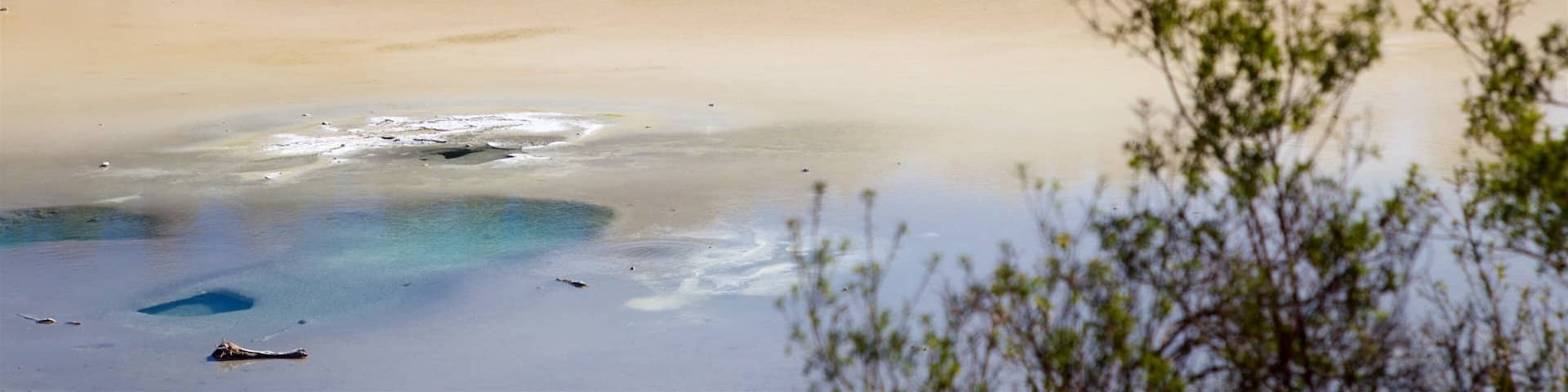 Waiotapu showing a hot spring and mist or fog