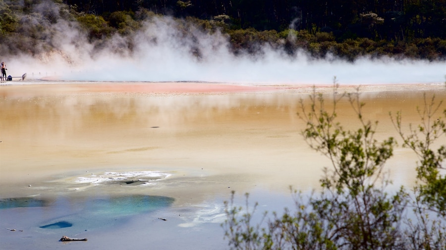 Waiotapu qui includes source chaude et brume ou brouillard