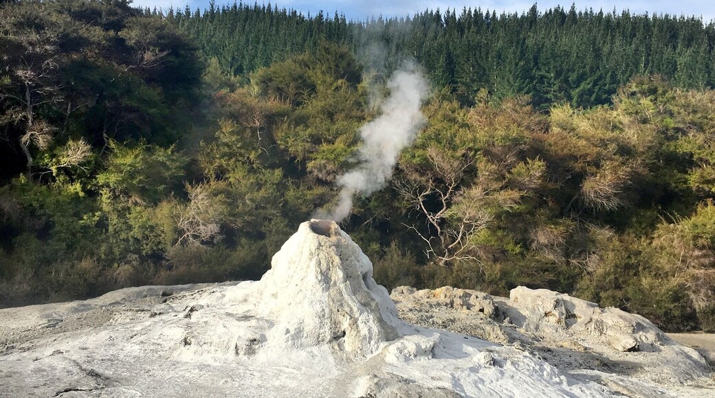 The geyser with funny story