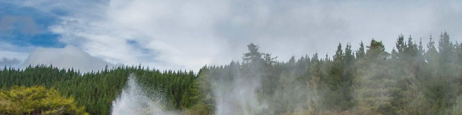A geyser erupting with steam in a forested area.
