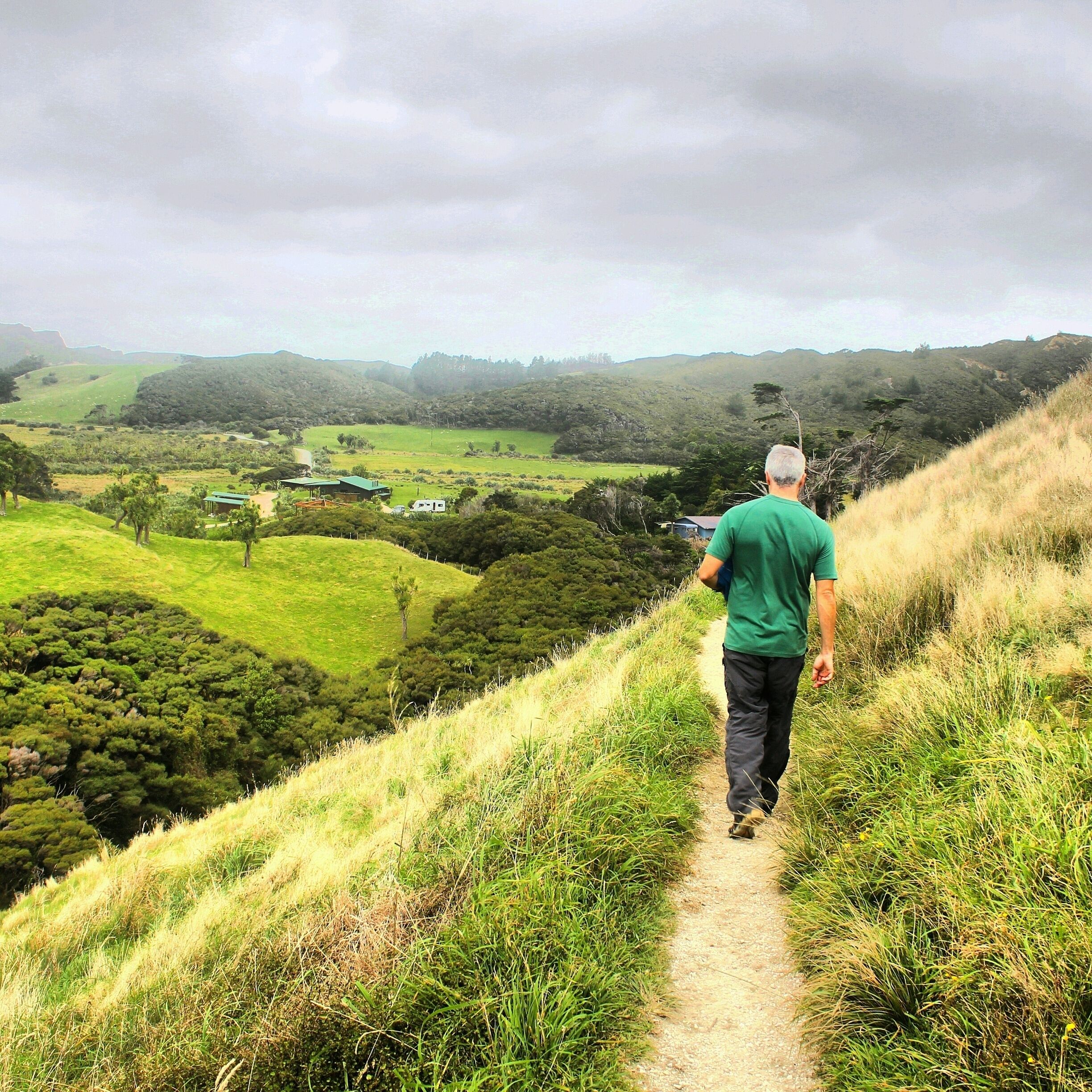 One of the most incredible sides to the northern tip of the South Island is how beaches and sand dunes quickly give way to lush green rolling hills - Wharariki Beach is definitely a part of our @airnzgrabaseat adventure we will return to.