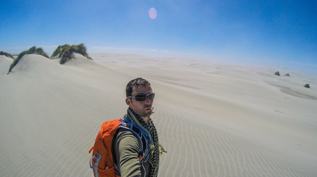 Take a step into another world on this patch of sand dunes at the top of New Zealand's South Island.