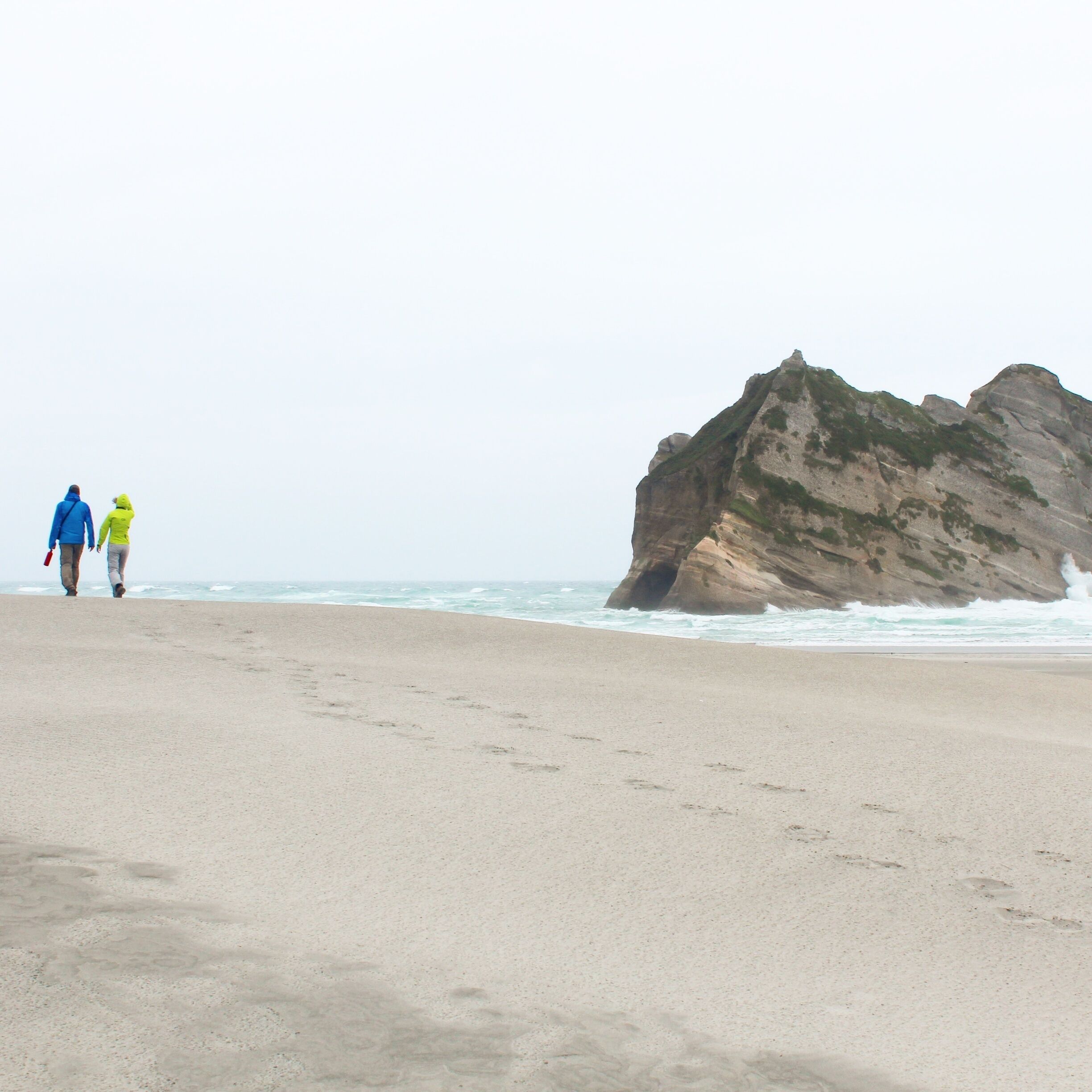 So glad we added a visit to Wharariki Beach to our @airnzgrabaseat itinerary while visiting the Nelson Tasman region. A tranquil part of the northernmost coastline of the South Island. Keep an eye out for the elusive seal pups!