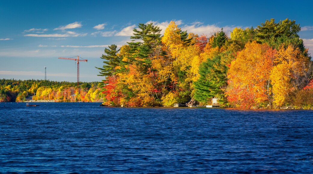 Autumn Colors in Kearney Lake - Kearney Lake, Nova Scotia, Canada - October 21, 2018. Autumn colors have finally arrived in Kearney Lake.