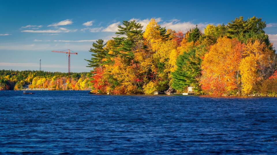 A lake with autumn-colored trees and a distant crane.