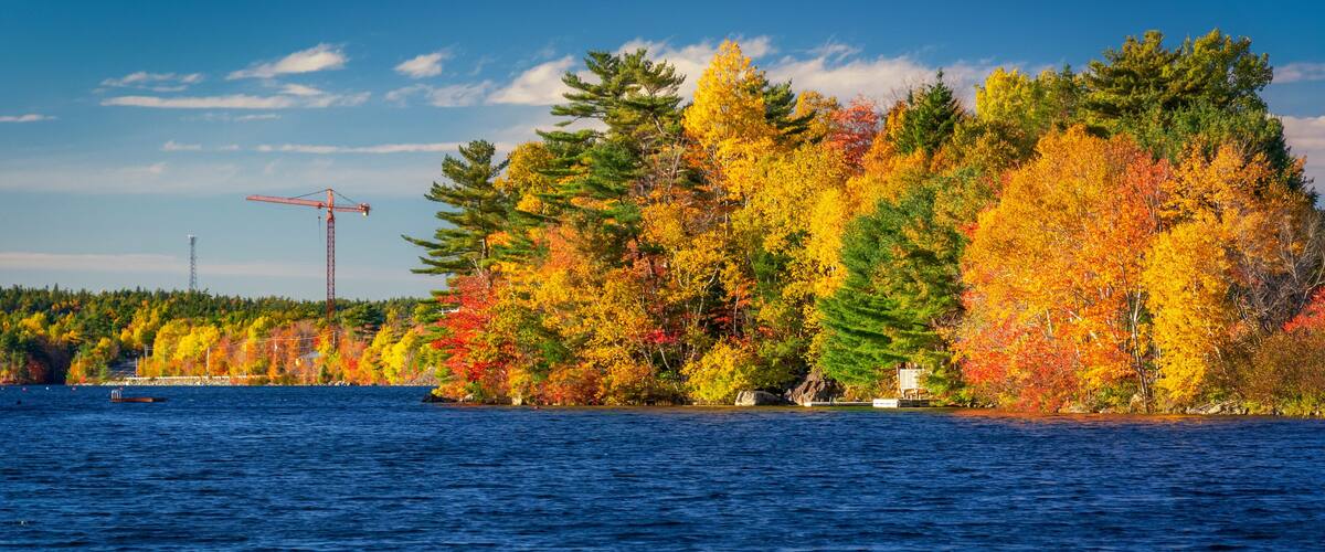 A lake with autumn-colored trees and a distant crane.