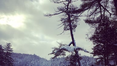 Exploring the frozen lake ❄️ #exploreontario