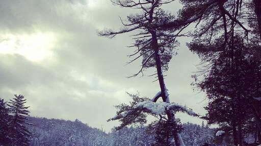 Exploring the frozen lake âïž #exploreontario