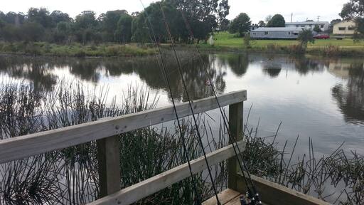 #wetlands #fishing for #trout at #Heyfield in #eastgippsland
#Australia
www.wyldfamilytravel.com