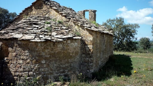 Capella de Sant Pere del Soler de Pallerols: lateral nord (la Baronia de Rialb)