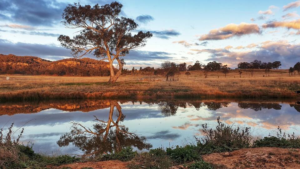 A calm lake reflecting a tree and a hilly landscape.